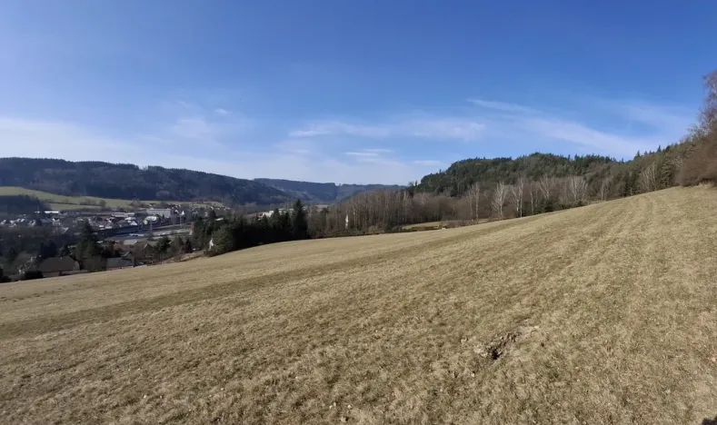 Prodej louky, Ústí nad Orlicí - Kerhartice, 49647 m2