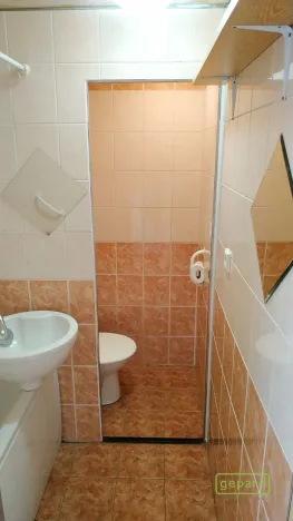 Pronájem bytu 1+1, České Budějovice, J. Opletala, 37 m2