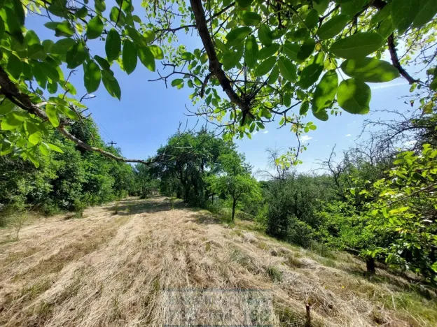 Pronájem zahrady, Krnov - Pod Bezručovým vrchem, Bruntálská, 400 m2