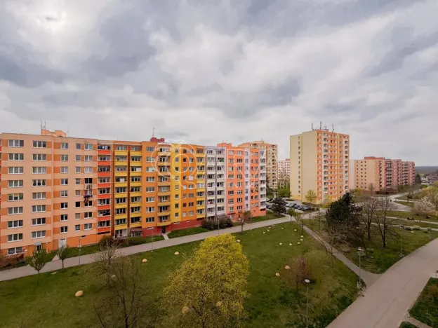 Pronájem bytu 2+kk, České Budějovice - České Budějovice 2, N. Frýda, 42 m2