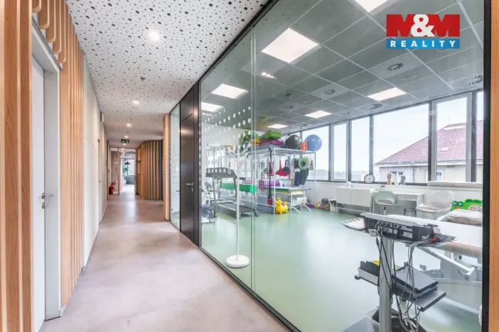 Pronájem komerční nemovitosti, Praha, Jihlavská, 30 m2