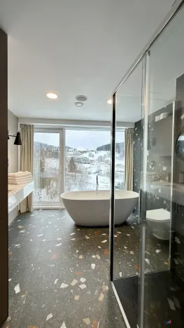 Prodej apartmánu, Dolní Morava, 49 m2