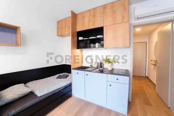 Pronájem bytu 1+kk, Olomouc, Edmunda Husserla, 27 m2