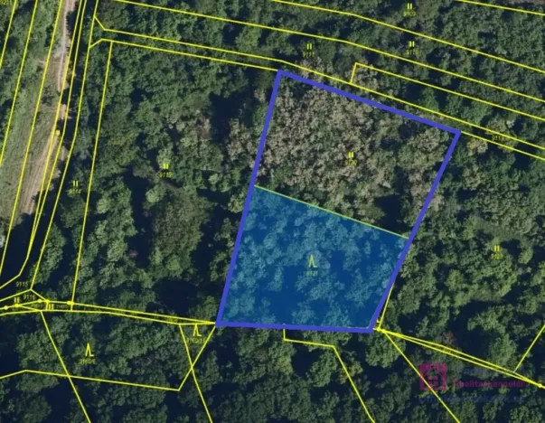 Prodej lesa, Klobouky u Brna, 4858 m2