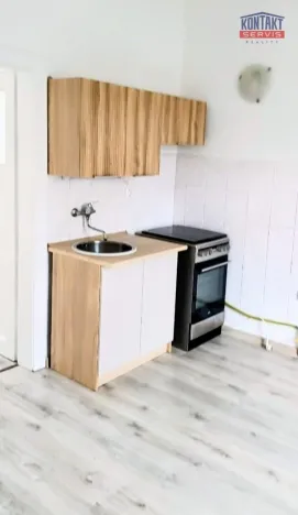 Pronájem bytu 1+1, České Budějovice, E. Beneše, 45 m2