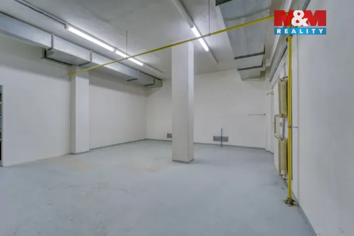 Pronájem obchodního prostoru, Plzeň - Severní Předměstí, alej Svobody, 458 m2