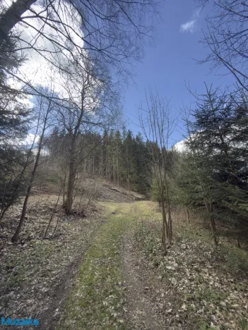 Prodej louky, Výprachtice, 9974 m2