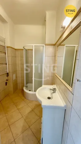 Pronájem bytu 3+1, Ostrava, Denisova, 117 m2