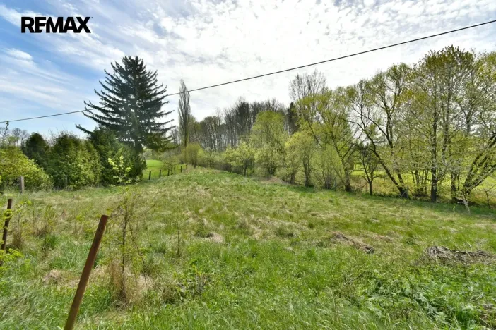 Prodej louky, České Meziříčí, 1214 m2