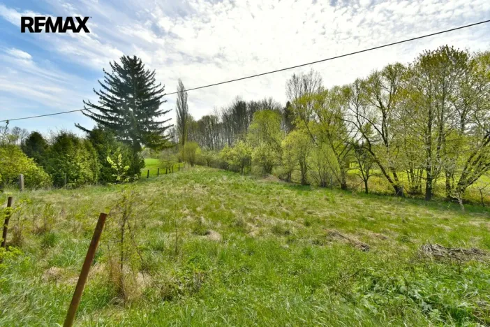 Prodej louky, České Meziříčí, 1214 m2