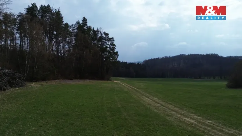 Prodej lesa, Mrákotín, 7873 m2