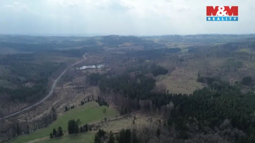 Prodej lesa, Mrákotín, 7873 m2