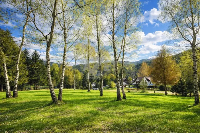 Prodej zahrady, Horní Bečva, 770 m2