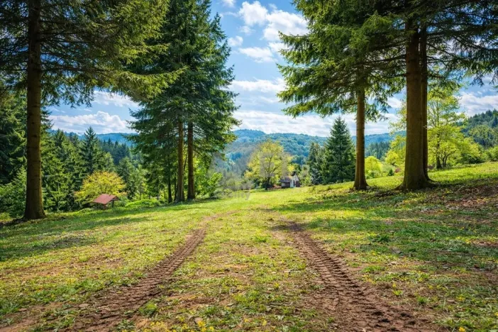 Prodej zahrady, Horní Bečva, 770 m2