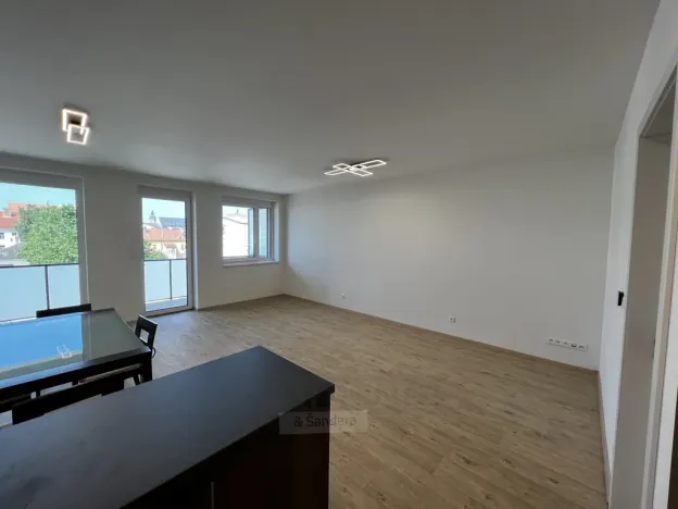 Pronájem bytu 1+kk, České Budějovice, Chelčického, 47 m2