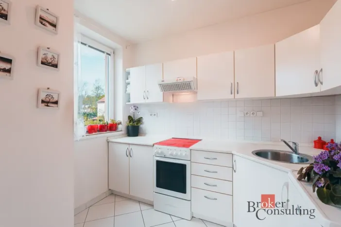 Prodej bytu 1+1, Milovice - Mladá, Kaštanová, 49 m2