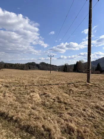 Prodej louky, Cvikov, 35271 m2