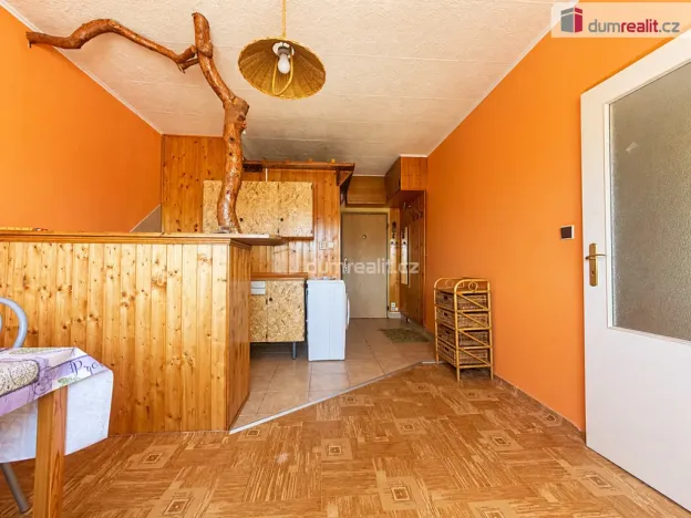 Prodej bytu 1+1, Ústí nad Labem - Neštěmice, Seifertova, 32 m2