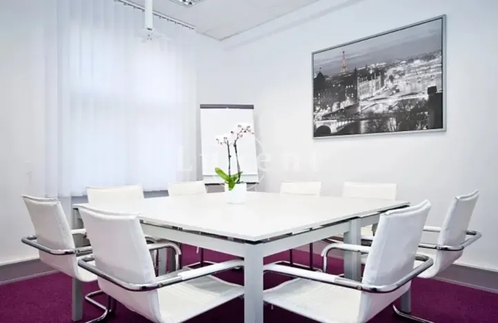 Pronájem kanceláře, Praha - Nové Město, Hybernská, 227 m2