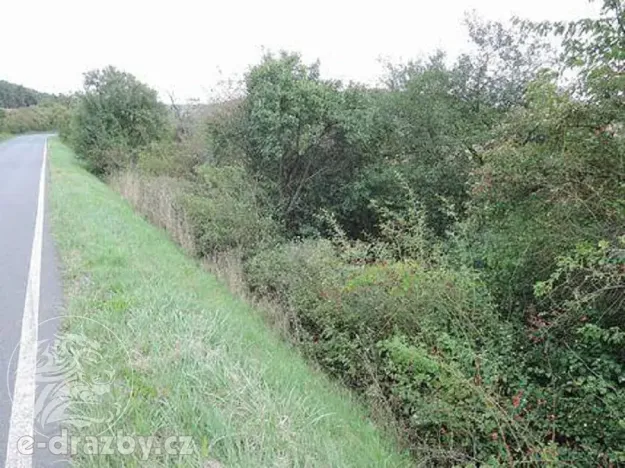 Dražba pozemku, Třebichovice, 6533 m2
