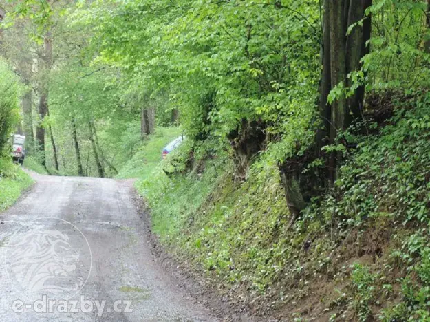 Dražba pozemku, Medonosy, 15430 m2