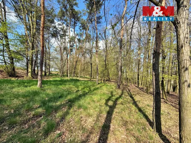 Prodej lesa, Mochov, 4629 m2
