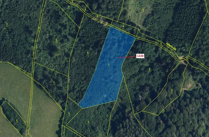 Dražba lesa, Horní Studénky, 10403 m2