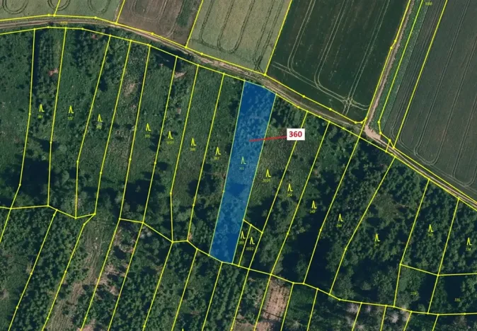 Dražba lesa, Chotěbudice, 1822 m2