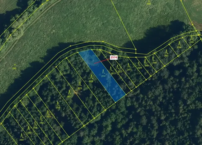 Dražba lesa, Chotěbudice, 782 m2