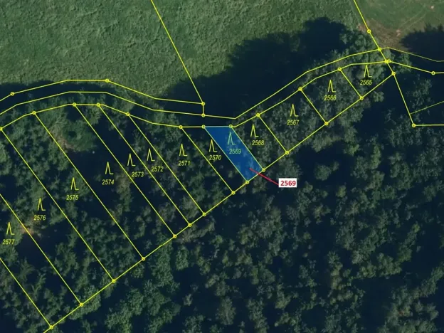 Dražba lesa, Chotěbudice, 155 m2