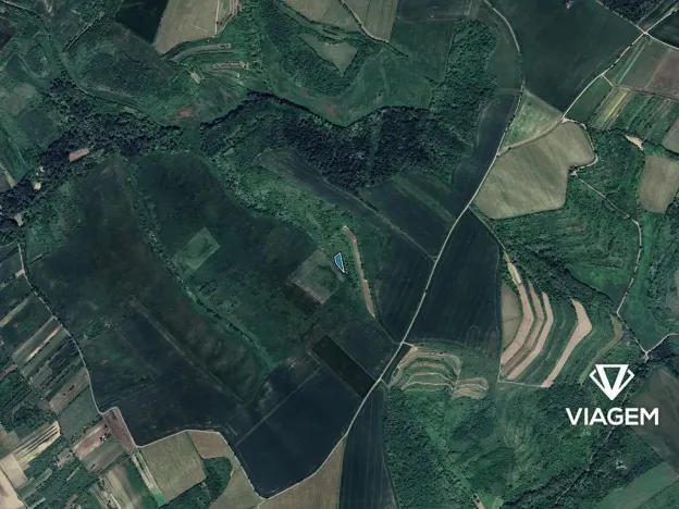 Prodej pole, Velké Němčice, 1162 m2