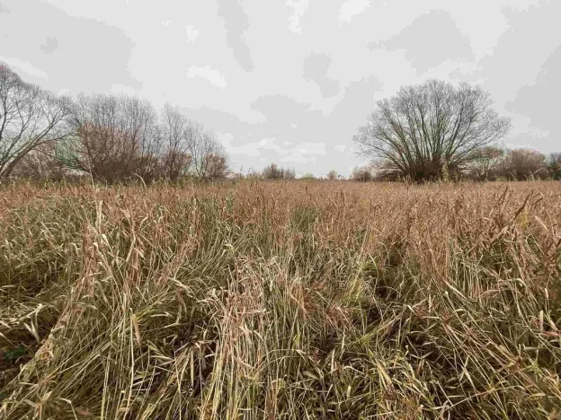 Prodej pozemku, Křenovice, 4103 m2