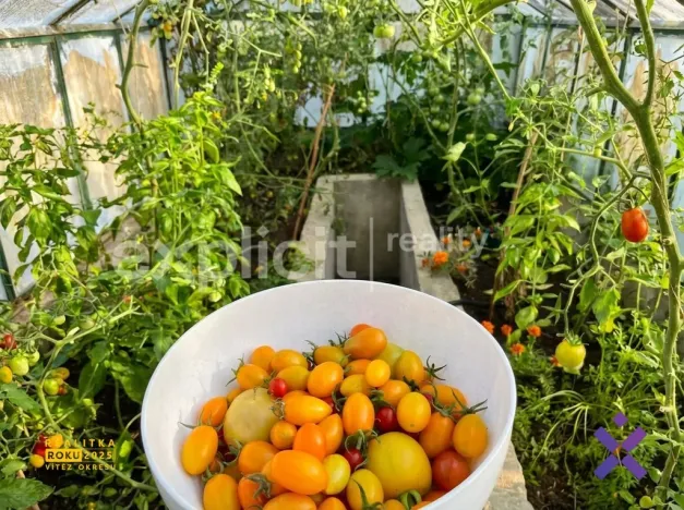 Prodej chaty, Zlín - Malenovice, 18 m2