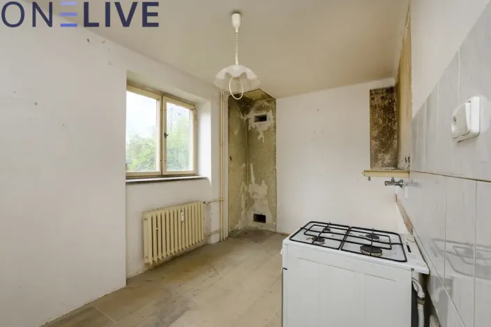 Prodej bytu 2+1, Plzeň, Mánesova, 56 m2