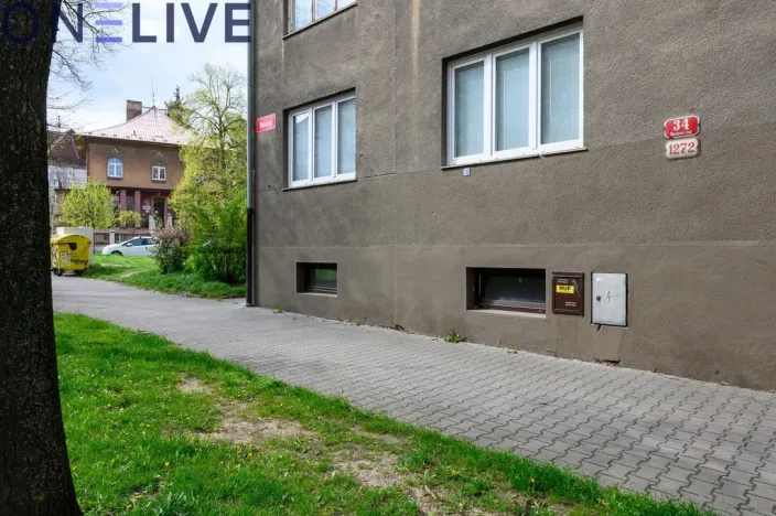 Prodej bytu 2+1, Plzeň, Mánesova, 56 m2