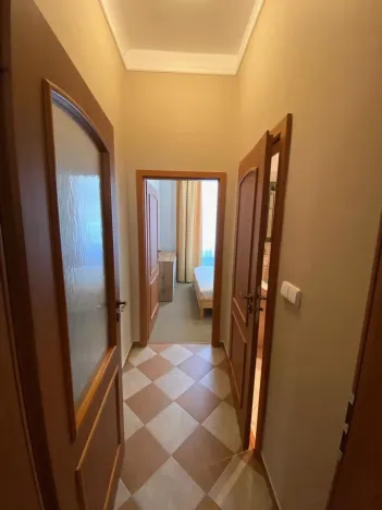 Prodej bytu 2+kk, Karlovy Vary, Zámecký vrch, 59 m2