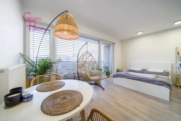 Pronájem bytu 1+kk, Brno - Královo Pole, Kollárova, 39 m2