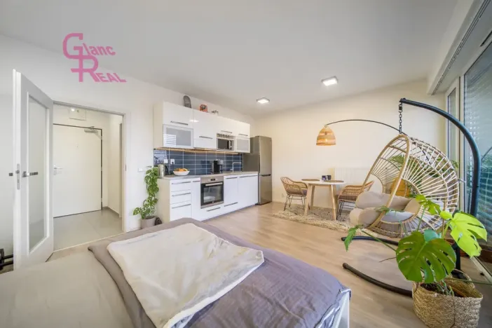 Pronájem bytu 1+kk, Brno - Královo Pole, Kollárova, 39 m2