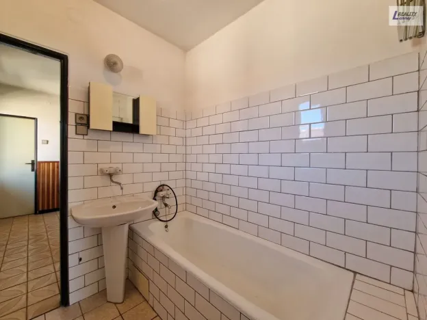 Prodej rodinného domu, Hostomice - Radouš, 300 m2