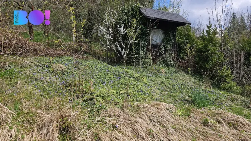 Prodej zahrady, Vsetín, 376 m2