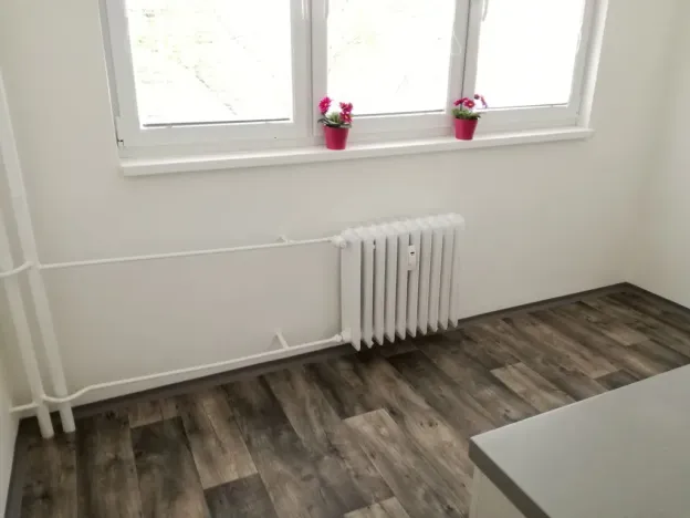 Pronájem bytu 2+1, Ostrava - Hrabůvka, Dr. Martínka, 50 m2