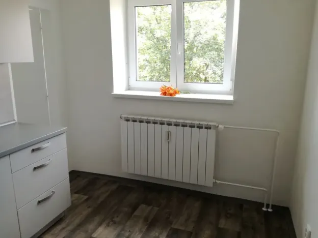 Pronájem bytu 2+1, Ostrava - Hrabůvka, Horní, 55 m2