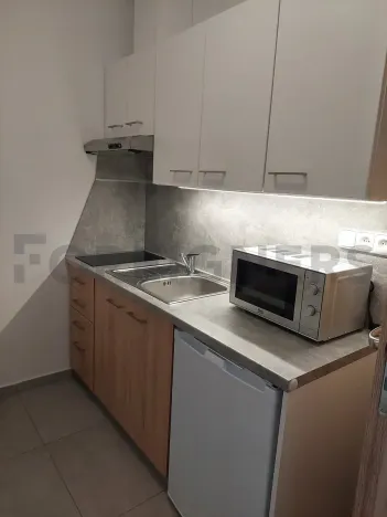 Pronájem bytu 1+kk, Olomouc, Ztracená, 25 m2