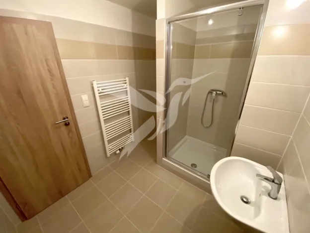 Pronájem bytu 1+kk, Plzeň, Stehlíkova, 30 m2