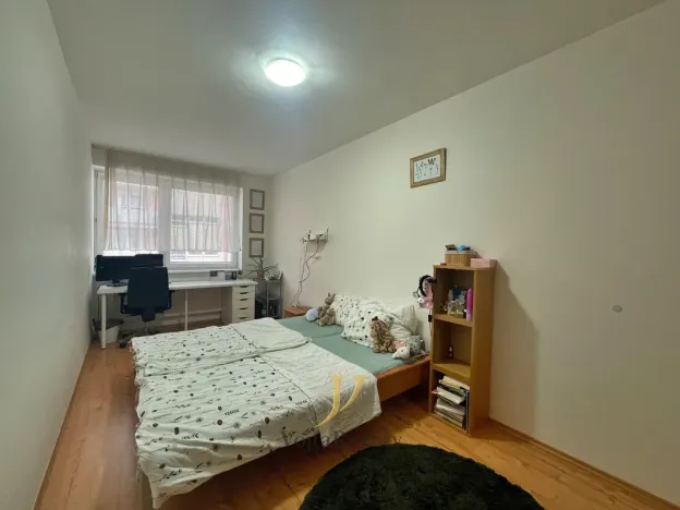 Pronájem bytu 3+kk, Olomouc - Nové Sady, Družební, 88 m2