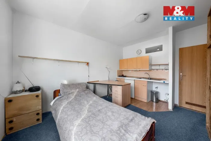 Prodej bytu 1+kk, Ústí nad Labem - Severní Terasa, Pod Parkem, 19 m2