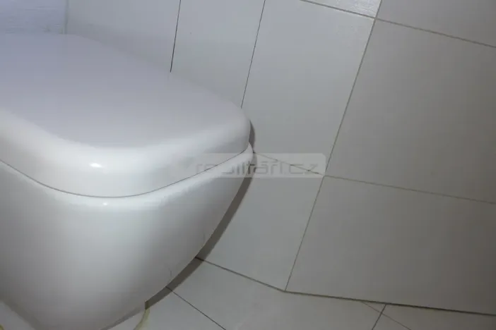 Prodej bytu 2+kk, Plzeň - Východní Předměstí, Guldenerova, 55 m2