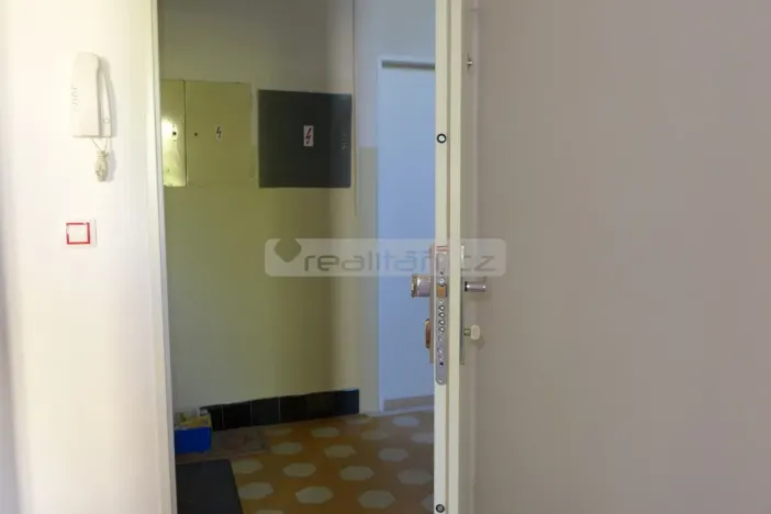 Prodej bytu 2+kk, Plzeň - Východní Předměstí, Guldenerova, 55 m2