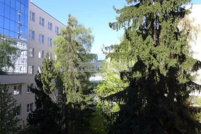 Prodej bytu 2+kk, Plzeň - Východní Předměstí, Guldenerova, 55 m2