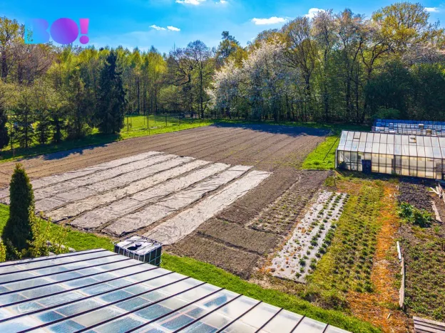 Prodej rodinného domu, Orlová, 17. listopadu, 160 m2